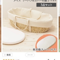 クーファン3点セットと授乳クッションの画像