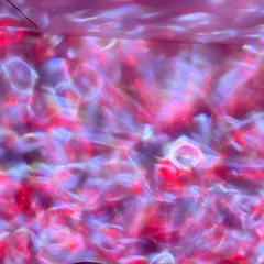 パーティ用プロジェクターライト 『STARRY PROJECTOR LIGHT』の画像