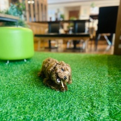 就労支援B型　サービス管理責任者を募集❗️の画像