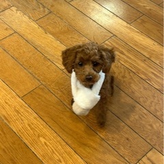 就労支援B型　サービス管理責任者を募集❗️の画像