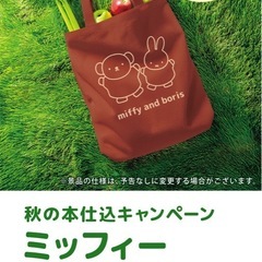フジパン 2025秋の本仕込キャンペーン 応募券10枚　ミッフィーコットンバッグ いいね！ の画像