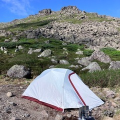 ビッグアグネス　シーバー3
の画像