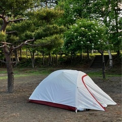 ビッグアグネス　シーバー3
の画像