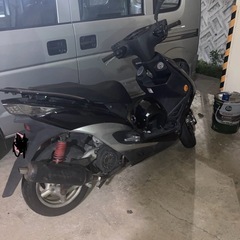 台湾シグナス3型　アルファー菅
　の画像