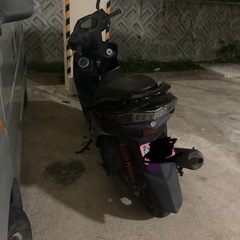 台湾シグナス3型　アルファー菅
　の画像