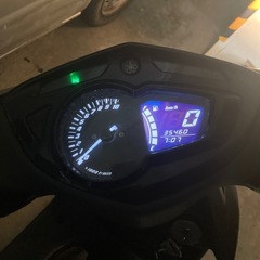 台湾シグナス3型　アルファー菅
　の画像