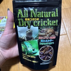 レオパの餌
の画像