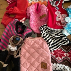 小型犬用☆犬の洋服25着☆の画像