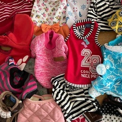 小型犬用☆犬の洋服25着☆の画像