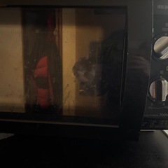 （決まりました）電子レンジの画像