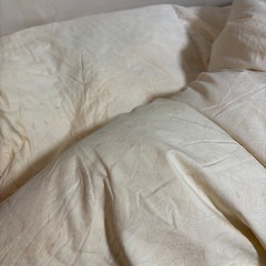 急募‼️羽毛掛け布団⑤の画像