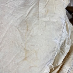 急募‼️羽毛掛け布団⑤の画像