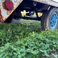 ジャンク　ダンプ式トレーラー　書類無し　敷地内かベースにでもの画像