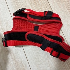 ペット　首輪　ミッキー　超美品の画像