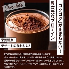 【1kg】ホエイプロテイン チョコレート風味　 イジゲン　EZIGENの画像