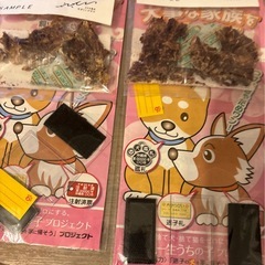 犬用、迷子札の画像