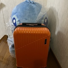 スティッチ　ディズニー　ぬいぐるみ
の画像