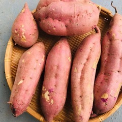 安納芋（さつまいも）の画像