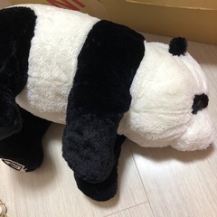 パンダぬいぐるみの画像