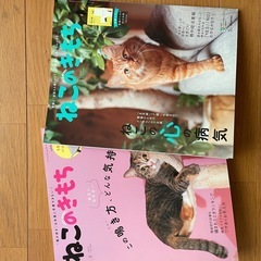 ☆ねこのきもち☆22冊セット☆の画像