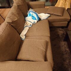 色んな家具全部0円、勝どきまで取りに来てくれる方の画像