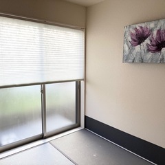 TOSO(トーソー)プリーツスクリーン「しおり」コルト扇TP-8046の画像