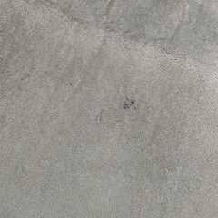 200✖️250 肉厚　ラグ　一年使用の画像