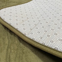 200✖️250 肉厚　ラグ　一年使用の画像