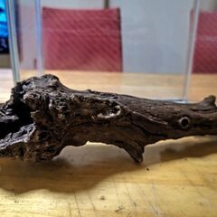 🐟️熱帯魚飼育で使用した大型流木3本セット🐡の画像