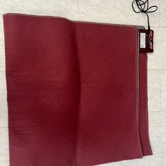 電気カーペットの画像