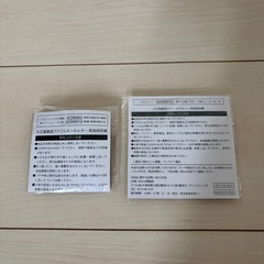 【新品未開封】大正製薬 パブロン ビオフェルミン キーホルダー 非売品の画像