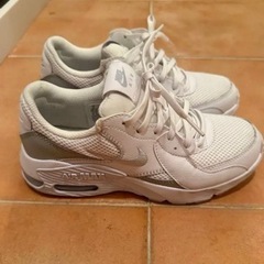 NIKE Air MAXの画像