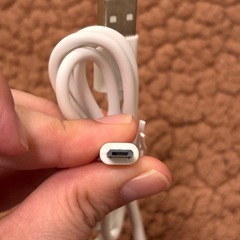 充電ケーブル　２本の画像