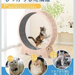 キャットホイール【美品】未使用の画像