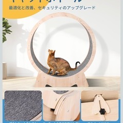 キャットホイール【美品】未使用の画像
