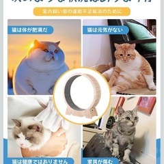 キャットホイール【美品】未使用の画像