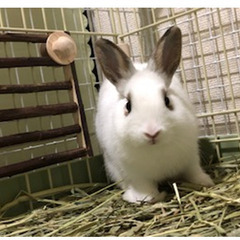 パート介護職員募集の画像