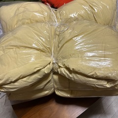 淡い黄色 ダウンベスト Fサイズの画像