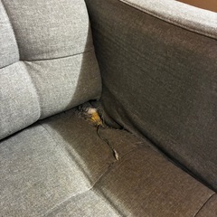 IKEA ソファ　2-3人掛けLANDSKRONA ランズクローナ 2人掛けソファ, グンナレド ライトグリーン/メタルの画像