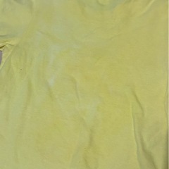 ワケあり！90USED ワンワンわんだーらんど限定Tシャツの画像