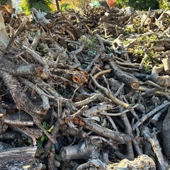 薪あげます。無料　キャンプ　焚き火　薪ストーブ　の画像