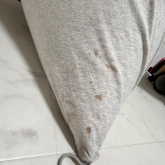 (汚れあり)ビーズクッションの画像