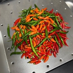 コーレーグース360mlの画像