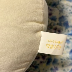 つぶらな瞳のなまがき　むらさきカラー　もちふわびっぐ むらさきからーの画像