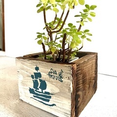 【MOKURAF】プランターカバー(小) カリビアンGARDEN マリン ガーデニング 室内インテリア 園芸 アンティーク調 店舗の画像