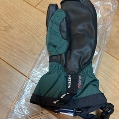 ヘストラ　HESTRA   junior用　三本指　グローブの画像