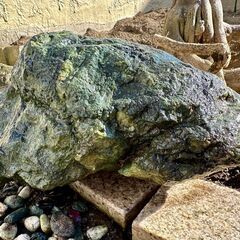 庭石　青石　庭の模様替えのため写真の「庭石」を無料で差し上げますの画像