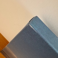 IKEA 120×56cmのワイドアートパネルの画像