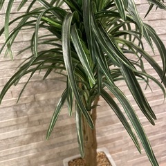 造木造花南国風
　の画像