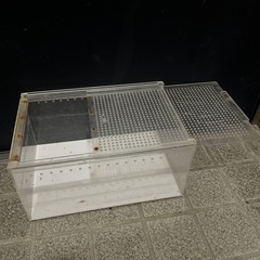爬虫類ゲージの画像